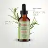 Original -MIELLE Rosemary Mint Scalp & Hair Strengthening Oil- 59ml (USA)